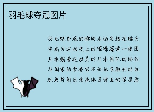 羽毛球夺冠图片