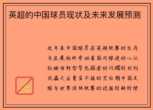 英超的中国球员现状及未来发展预测