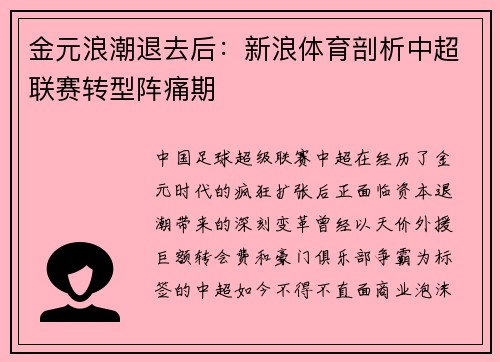 金元浪潮退去后：新浪体育剖析中超联赛转型阵痛期